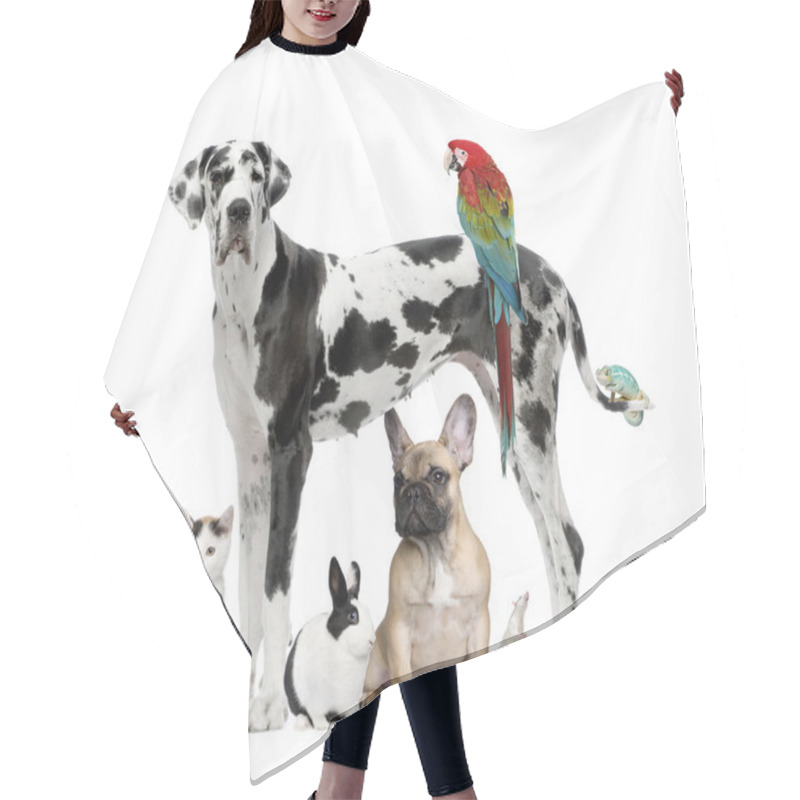 Personality  Group Of Pets - Dog,cat, Bird, Reptile, Rabbit Hair Cutting Cape