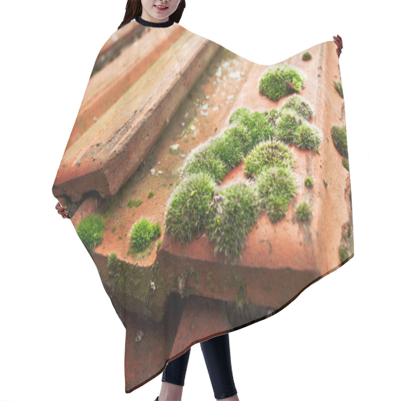 Personality  Moss On Roof Tiles Hair Cutting Cape