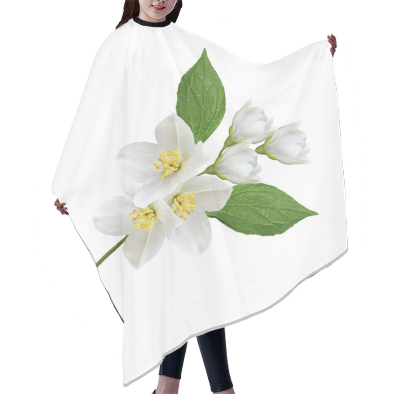 Personality  Branch Of Jasmine Flowers Isolated On White Background Hair Cutting Cape