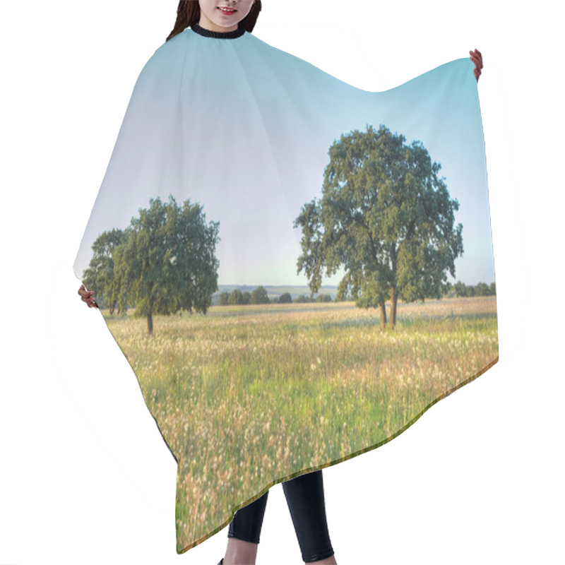 Personality  Old Oak Tree Hair Cutting Cape