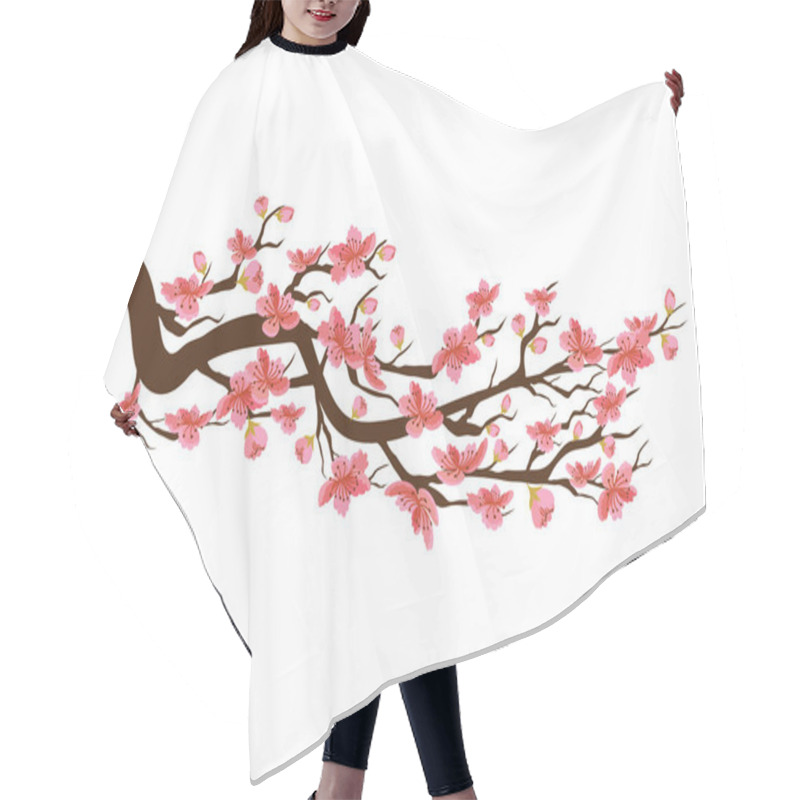 Personality  Chinese New Year. Sakura Flowers Background. Cherry Blossom Isolated White Background  Hair Cutting Cape