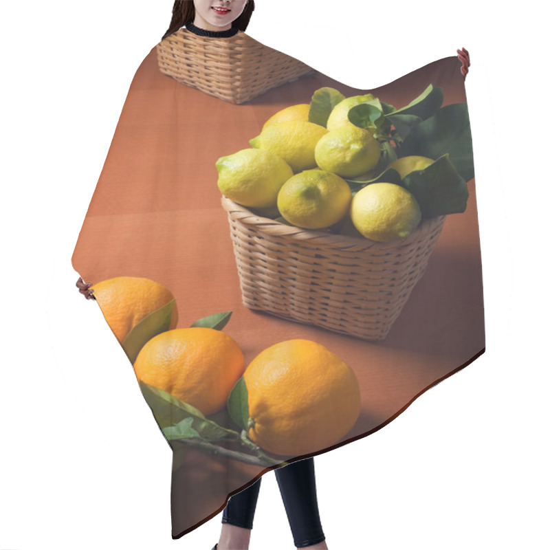 Personality  Mediterranean Citrus Harvest Hair Cutting Cape