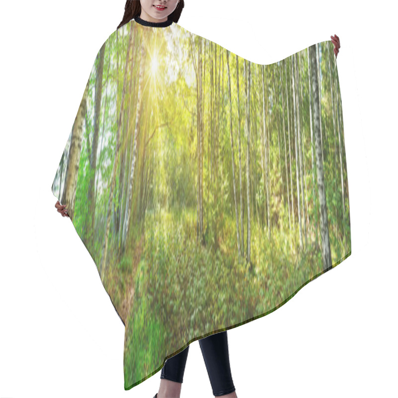 Personality  Birch Tree Forest In Morning Hair Cutting Cape