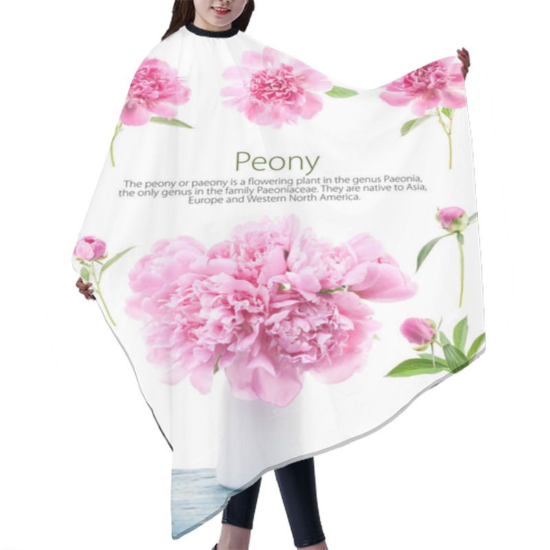 Personality  Peony Flowers In White Vase Isolated On White Hair Cutting Cape