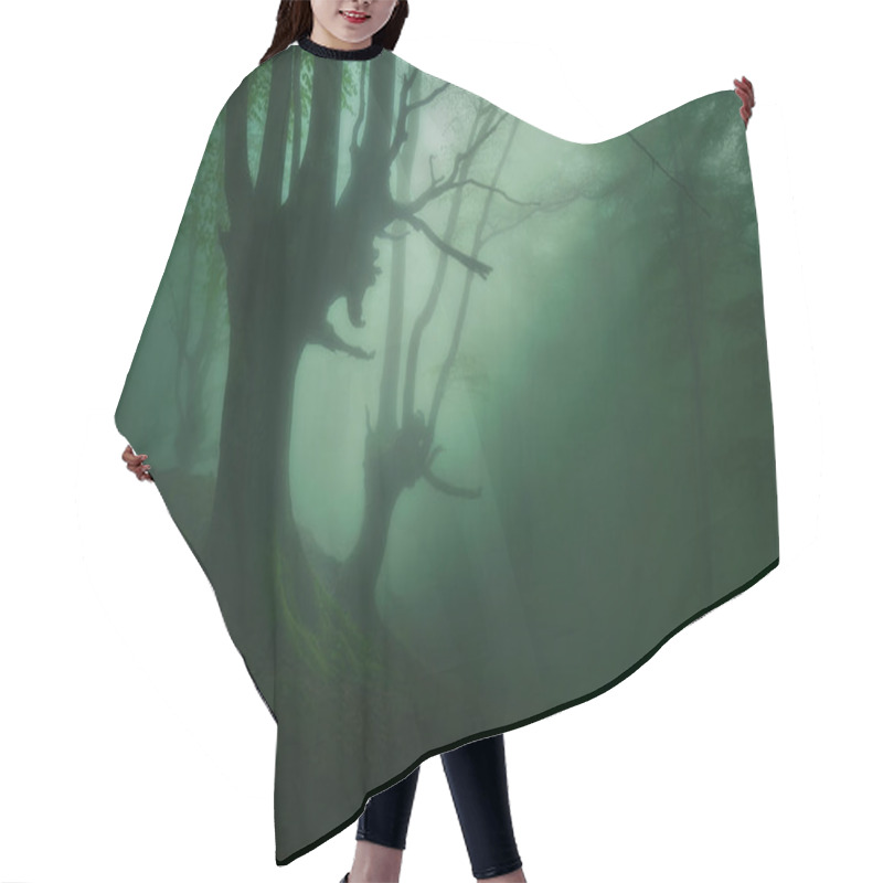 Personality  Mysterious Foggy Forest With Beautiful Shunshine Hair Cutting Cape