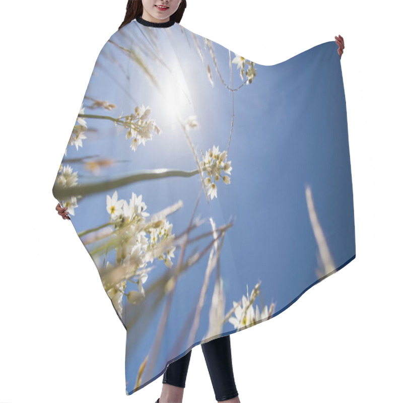 Personality  Low-angle View Of Delicate White Wildflowers Reaching Toward The Bright Sun Against A Deep Blue Sky, Capturing A Vibrant Summer Scene. Hair Cutting Cape