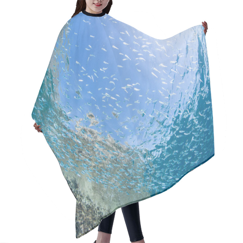 Personality  Juvenile Sardine Swimming Hair Cutting Cape