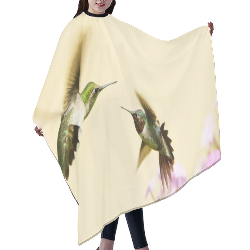 Personality  Hummingbirds Fighting. Hair Cutting Cape