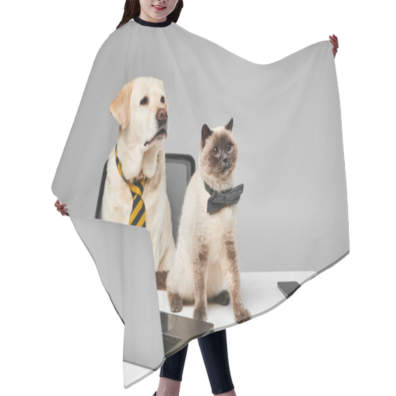 Personality  A Cat And A Dog Sit Together In Front Of A Laptop, Appearing To Edit Content Collaboratively On The Screen. Hair Cutting Cape