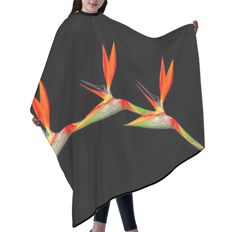 Personality  Bird Of Paradise Flowers Arching Hair Cutting Cape