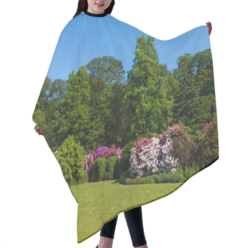 Personality  Rhododendron Azalea Bushes And Trees In Beautiful Summer Garden Hair Cutting Cape