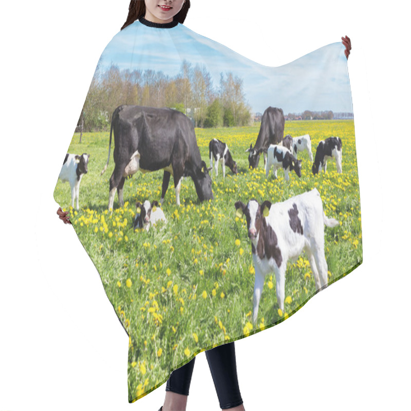 Personality  Meadow Full Of Dandelions With Grazing Cows And Calves Hair Cutting Cape