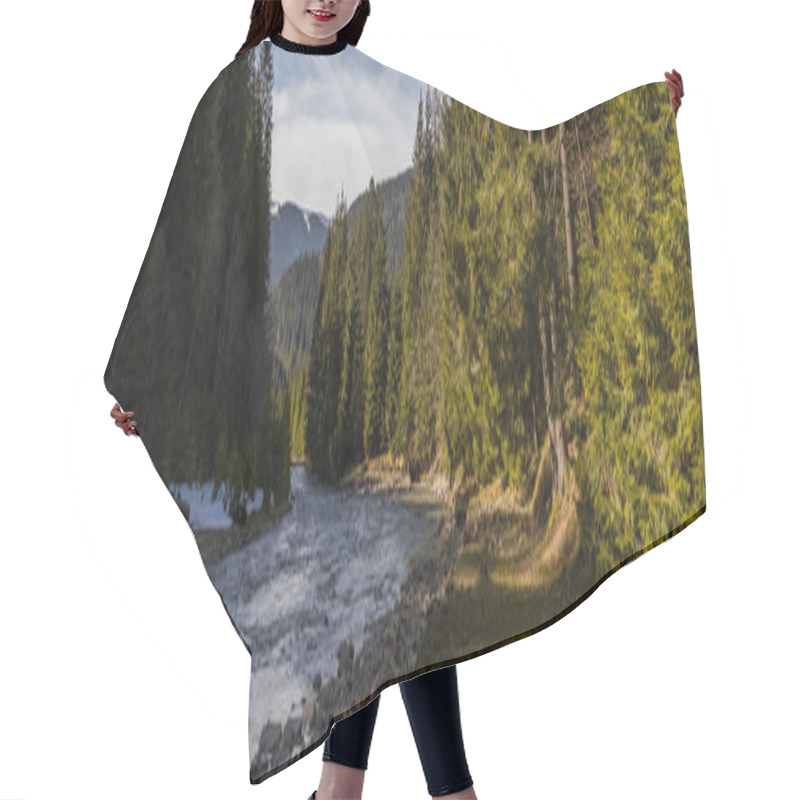 Personality  River And Spruce Forest With Mountains At Background, Banner  Hair Cutting Cape