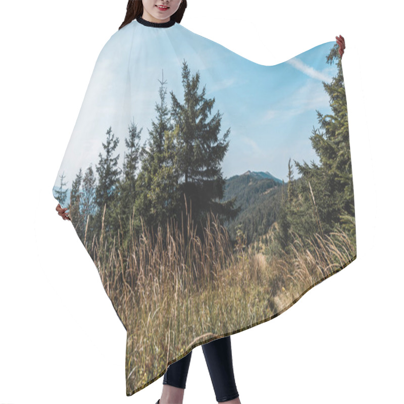 Personality  Yellow Barley Field Near Pine Trees Against Blue Sky  Hair Cutting Cape