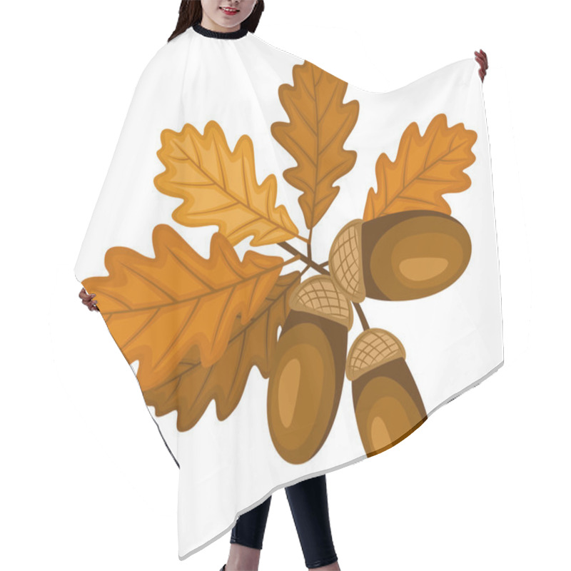 Personality  Oak Branch With Leaves And Acorns. Vector Illustration. Hair Cutting Cape