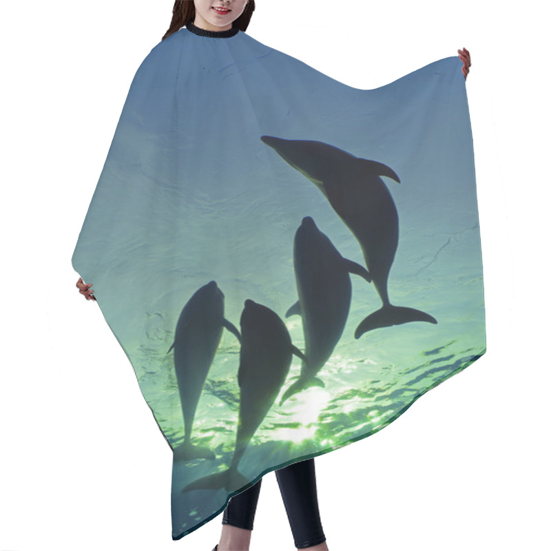 Personality  Dolphin Family Swimming Hair Cutting Cape