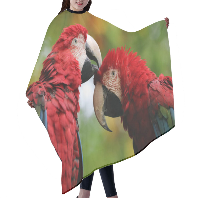 Personality  Beautiful Parrots Macaw Hair Cutting Cape