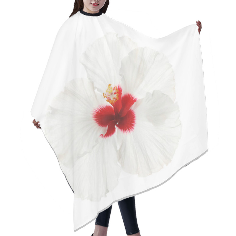 Personality  Beautiful Tropical Hibiscus Flower Isolated On White Hair Cutting Cape