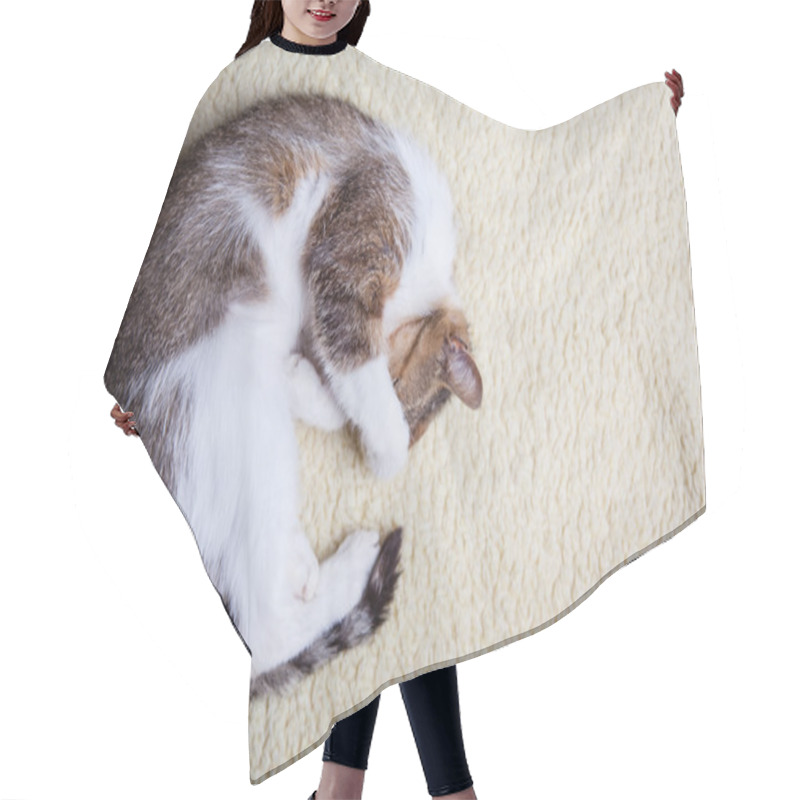 Personality  Relaxing Cat Hair Cutting Cape