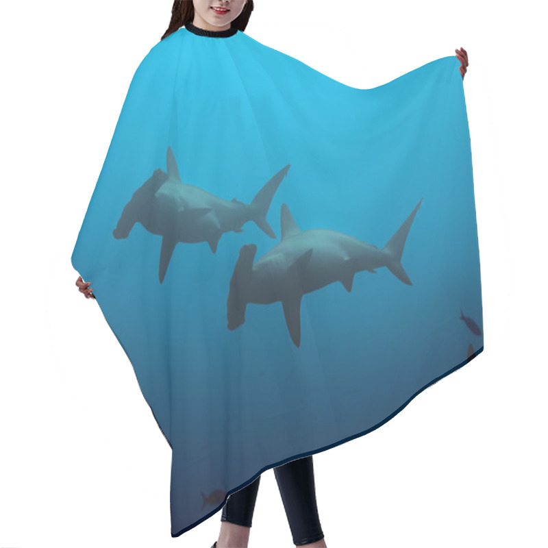 Personality  Two Hammerhead Sharks Hair Cutting Cape