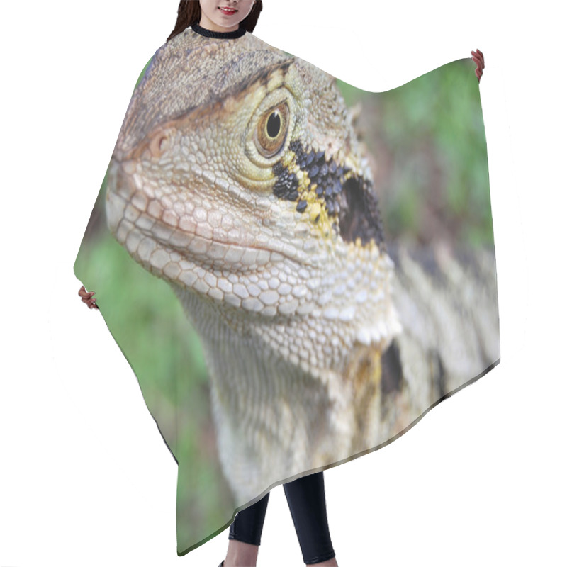 Personality  Lizard Hair Cutting Cape