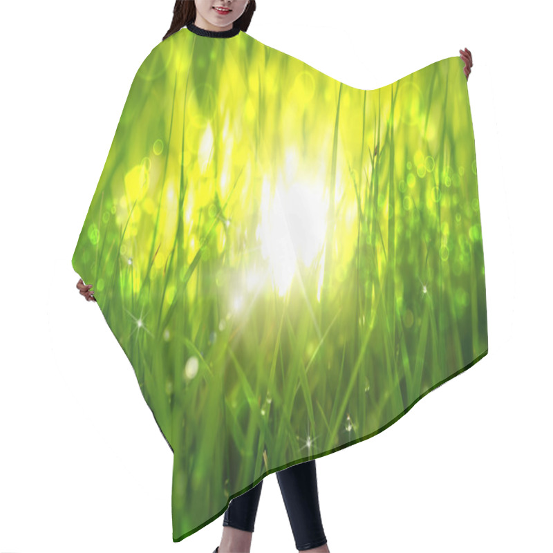 Personality  Green Grass At Sunrise.  Hair Cutting Cape