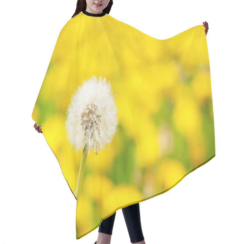 Personality  White Dandelion In The Field Of Flowering Dandelions Hair Cutting Cape