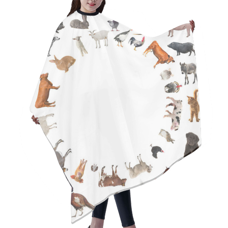 Personality  Collage Of Farm Animals Isolated On White Background Hair Cutting Cape