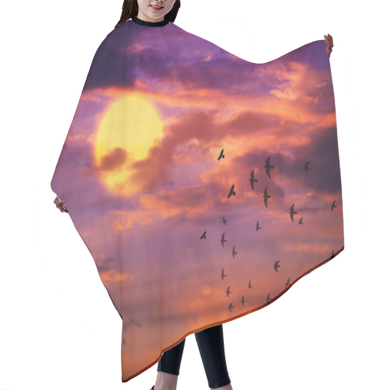 Personality  Bird Flying Hair Cutting Cape