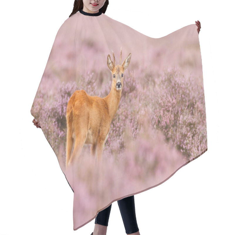 Personality  Roe Deer In A Field Hair Cutting Cape