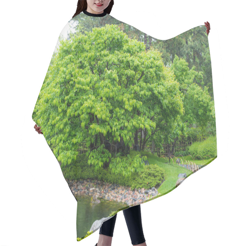 Personality  Deciduous Tree In Japanese Garden Hair Cutting Cape