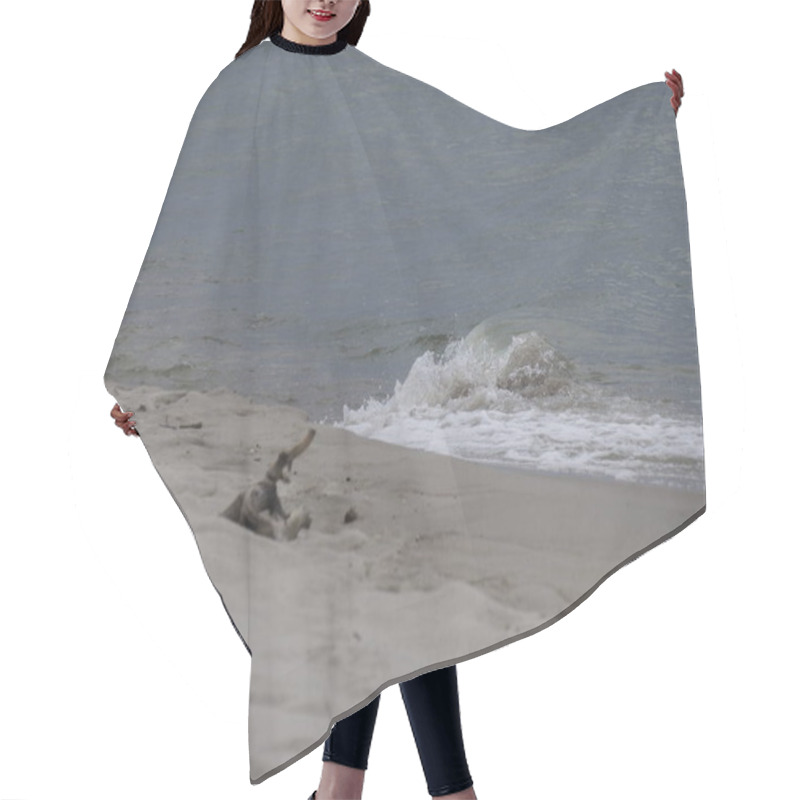 Personality  Calm Beach With Waves Rolling Onto The Shore And Sandy Dunes Hair Cutting Cape