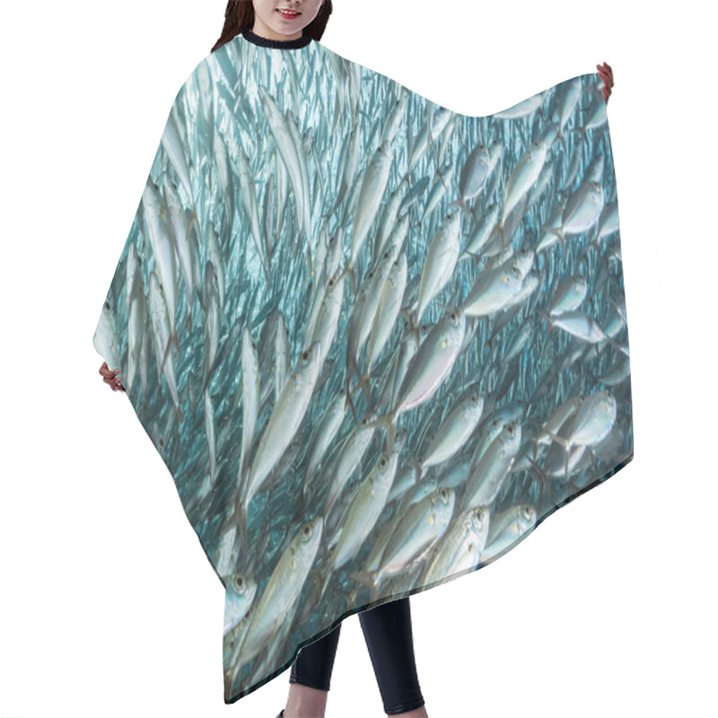 Personality  Sardine School Of Fish Underwater Hair Cutting Cape