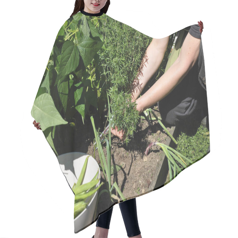 Personality  Runner Pole And Savory Harvest In Garden Hair Cutting Cape