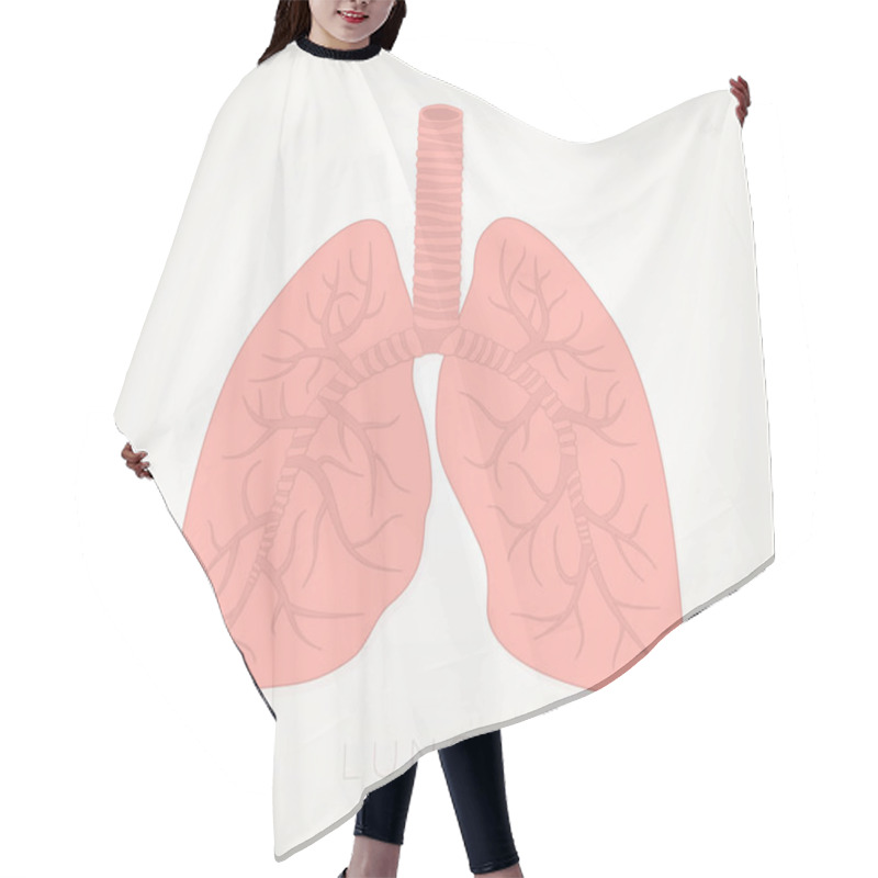 Personality  Lungs Human. Internal Organs Of The Human. Anatomy, Medicine Concept. Healthcare. Isolated On White Background. Vector Detailed Illustration Hair Cutting Cape