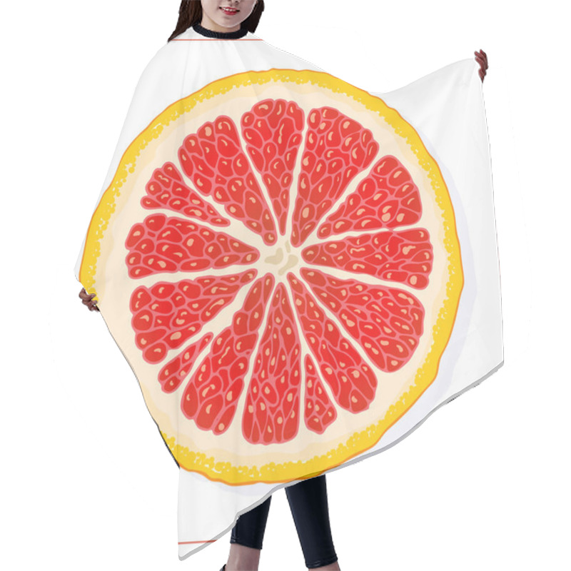 Personality  Vector Silhouette Of Grapefruit Slices. Isolated Drawing Fruit On A White Background. Hair Cutting Cape