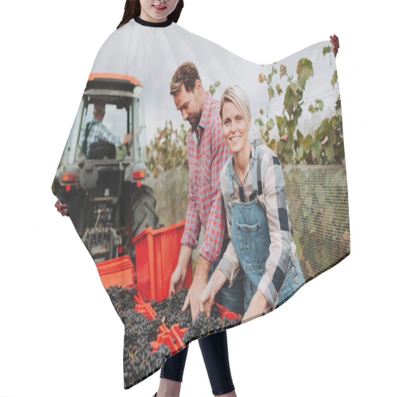 Personality  Vineyard Workers With Harvest Bins Full Of Grapes. Manual Grape Harvesting In Family-run Vineyard Hair Cutting Cape