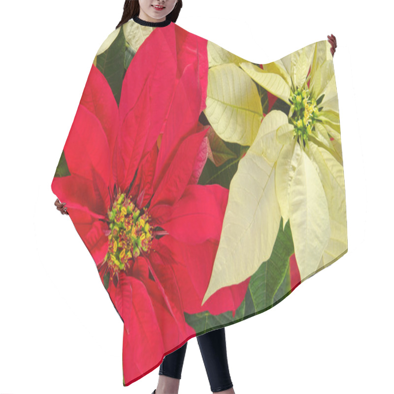 Personality  Poinsettia Flowers Hair Cutting Cape