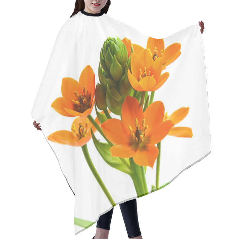 Personality  Orange Star Of Bethlehem Hair Cutting Cape