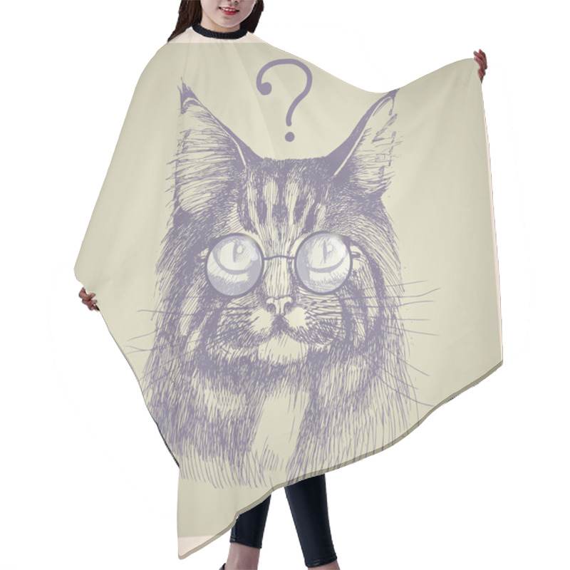 Personality  Maine Coon Cat Portrait. Hair Cutting Cape