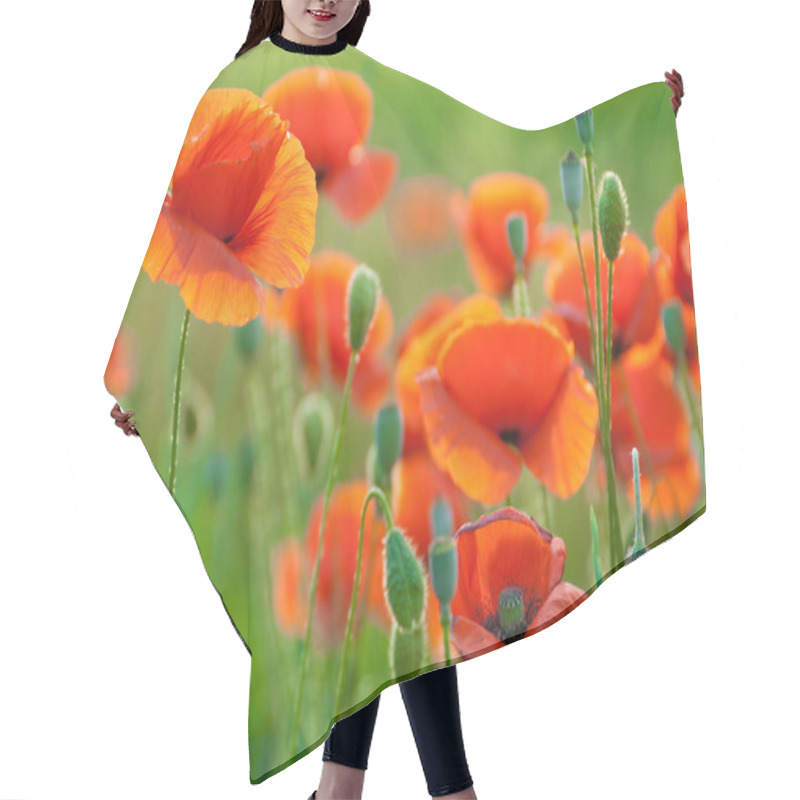 Personality  Poppy Field In Crimea Hair Cutting Cape