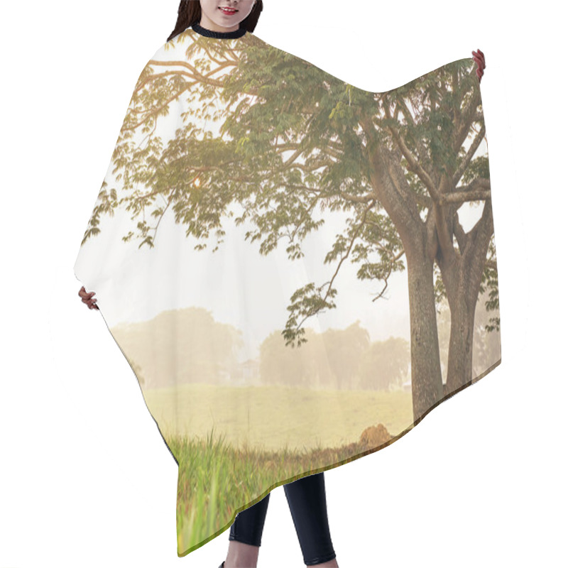 Personality  Sunset In Hills Landscape Hair Cutting Cape