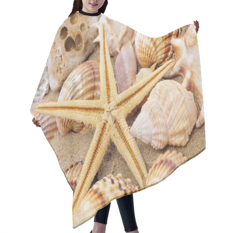 Personality  Seashells And Seastar Hair Cutting Cape