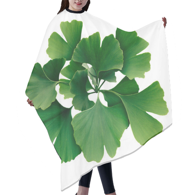 Personality  Ginkgo Biloba Isolated Hair Cutting Cape