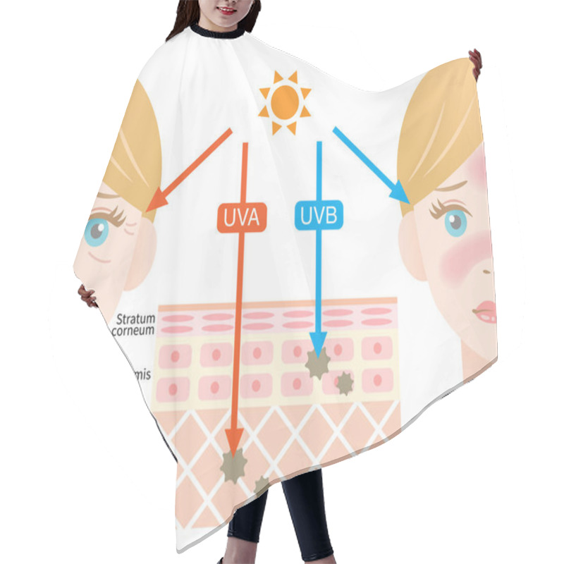 Personality  Infographic Illustration Of Difference Between UVA And UVB Rays.  UV Penetration Into Human Skin And White Woman Face. Skin Care And Beauty Concept Hair Cutting Cape