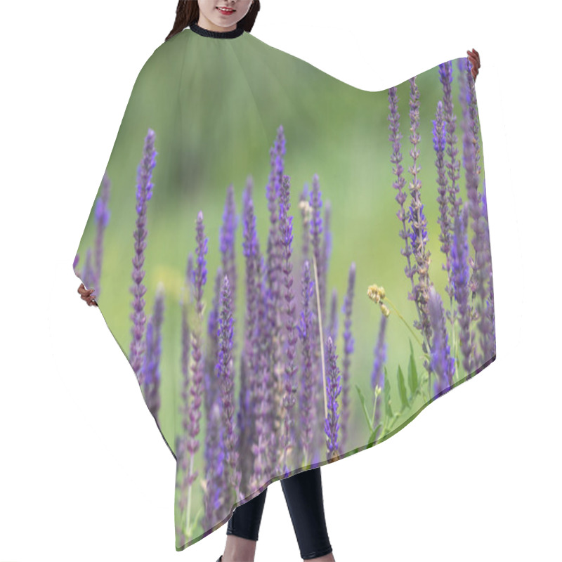 Personality  Purple Sage Flowers In The Meadow Hair Cutting Cape