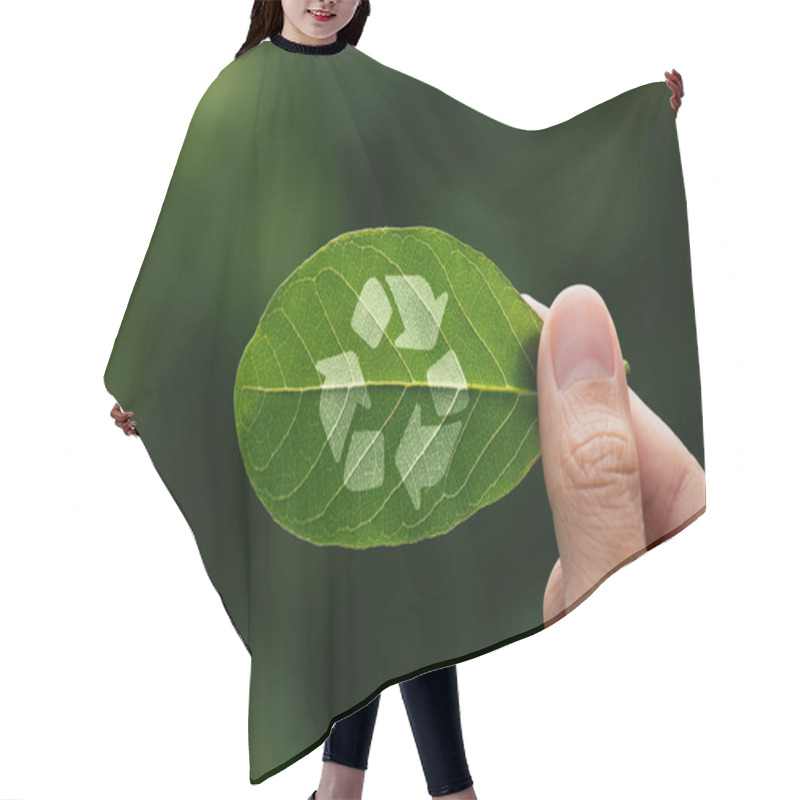 Personality  Hand Of Human Is Holding Painted Green Leaf With Recycle Arrow, Renewable Energy Carbon And Business ESG Goverment Concept. Hair Cutting Cape