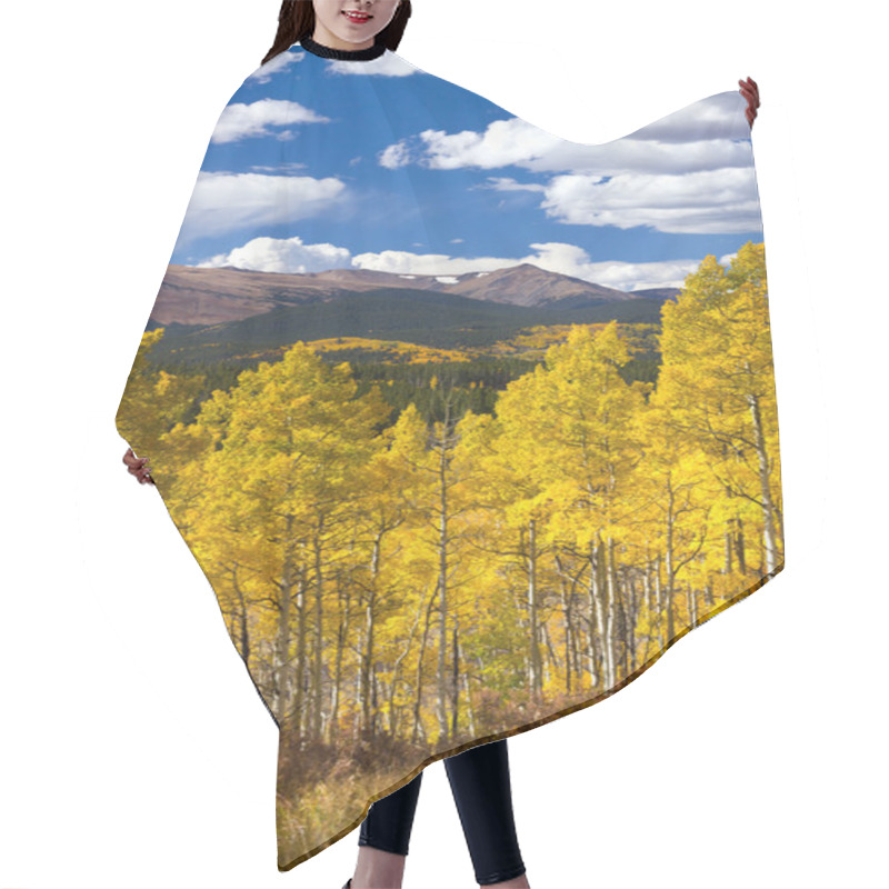 Personality  Thick Aspen Forest In Fall Hair Cutting Cape