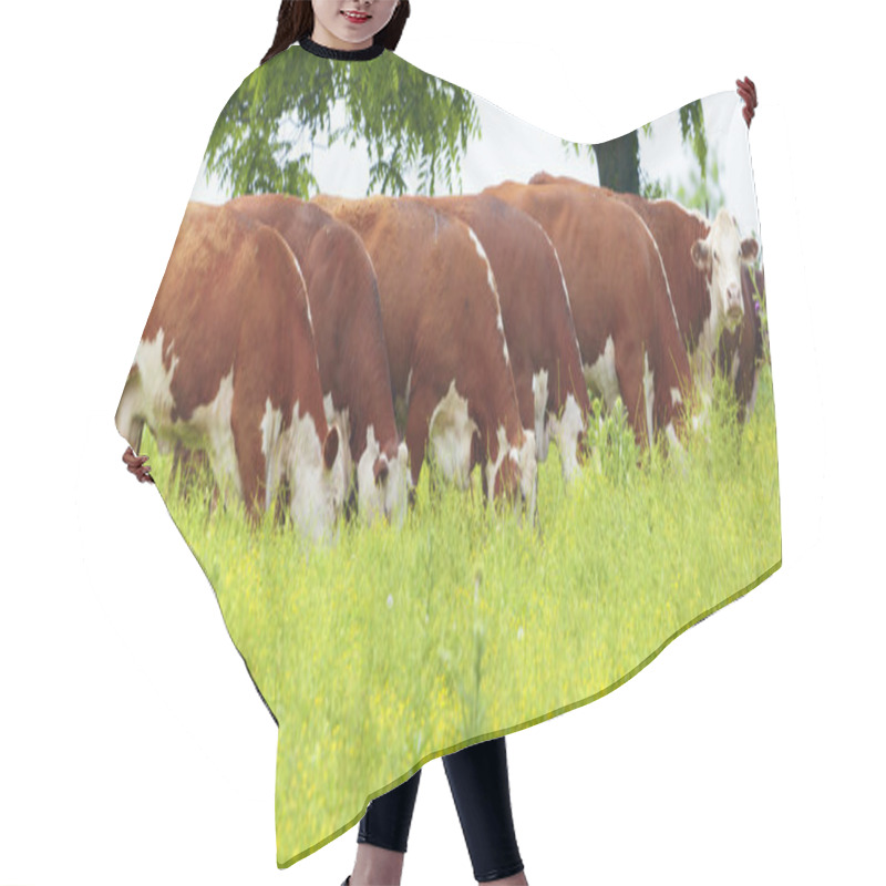 Personality  Cattle Hair Cutting Cape