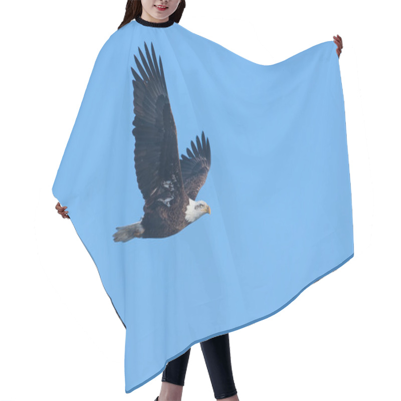 Personality  American Bald Eagle In Flight Hair Cutting Cape